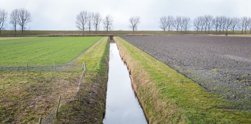 Ditch Repair in Houston, TX